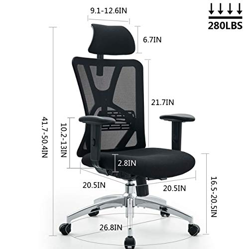 Ticova Ergonomic Office Chair High Back Desk Chair with Adjustable