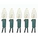 NOMA Holiday Christmas Lights | C6 LED Warm White Bulbs | Outdoor & Indoor | 70 Light Set | 23.8 Foot Strand | 5 Year Warranty
