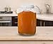 Kombucha Starter Kit - Jar and SCOBY (Original Kit)