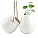 Celestte Hanging Planter, Decorative Ceramic Flower Pot Water Planter Plant Vase, Set of 2