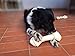 LIMITED TIME DEAL 9”-10” Premium Knot Bones - 3 Pack – Chewing Dog Treat Made With The Best Rawhide 100% Natural - No Additives, Chemicals or Hormones – Natural Grass Fed livestock from South America