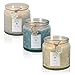 Dynamic Collections Snowflake Embossed Christmas Jar Candle - 3 Pack – Scented 2-Wick Candle Gift Set with Lids in Pastels - Blue, Ivory and White