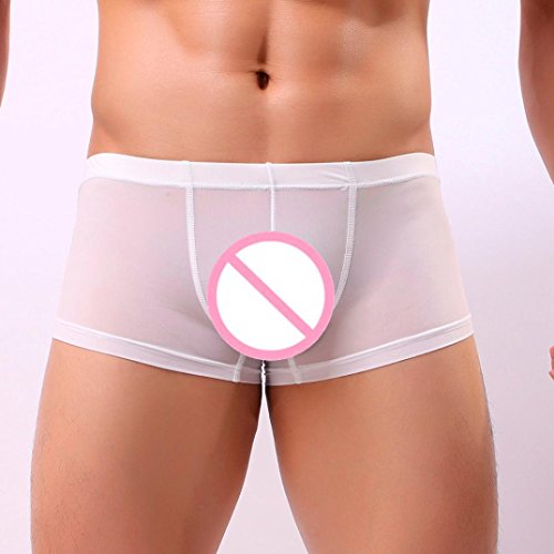 Men Transparent Underwear Boxer ,Vanvler Sexy Male Briefs Shorts Bulge Pouch Underpants (White, M)