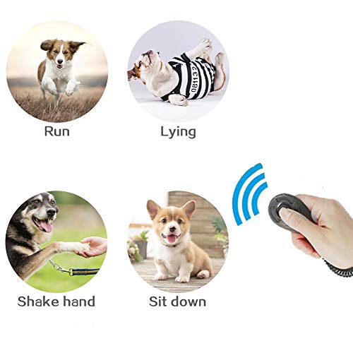HONG111Pet Training Set Upgrade Version Dog Training Clicker with Dog Whistle Professional, Free Dog Clicker Wristband, Dog Lanyard (6 Pack) - Thumbnail 4