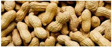 4 lbs Jumbo Raw Peanuts in Shell, Parrot Bird Treat