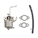 HIFROM Carburetor Carb with Gasket Compatible with Watts 2hp 63cc 60338 66619 69381 Harbor Freight Chicago Electric Storm CAT 700 800 900 Generator