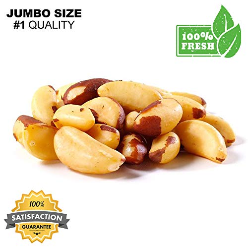 Brazil Nuts Roasted Salted, Fresh Premium Brazil Nuts Roasted and Salted - European Nuts (1 lb Bag Brazil Nuts)