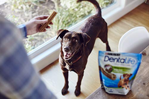 3 Purina+Dentalife+Daily+Large+Treats