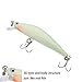 GOOTRADES 3D Luminous Night Bait Minnow Lure Hard Bait Fish Hook (Pack of 2)