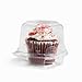 pizety 40 jumbo individual cupcake containers large Strong Quality Clear individual Cupcake Muffin Containers plastic disposable single Compartment cupcake container individual jumbo cupcake container