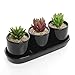 MyGift Set of 4 Contemporary Design Black Ceramic Succulent Planter Pots Display with Drip Tray
