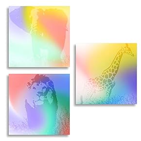 Colorful Quotes x3 Panels