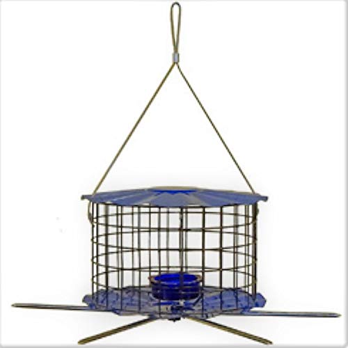 Erva Bird Feeder Barrier Guard Feeder Perch Accessory for BBF1, BBF1C, SUET1, SUET1C, and PNF1 - Thumbnail 2