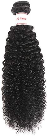 Ailisi Brazilian Virgin Kinky Curly Hair 1 Bundle 8A Unprocessed Brazilian Curly Human Hair Weave Natural Black (20 inch)