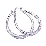 Foreverstore 925 Sterling Silver hoop Earrings Eardrop for Women Girls Fashion Jewelry