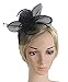 Urban CoCo Women's Vintage Flower Feather Mesh Net Fascinator Hair Clip Hat for Party Wedding (Black)