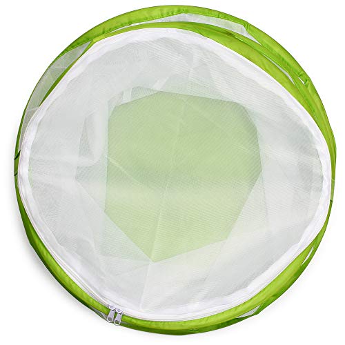 6 RESTCLOUD+Insect+Butterfly+Habitat+Terrarium