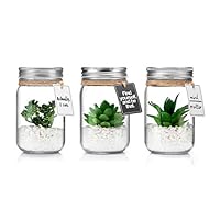 Opps Mini Artificial Green Succulent Plants with Special Rope Design Clear Glass Jar - Set of 3