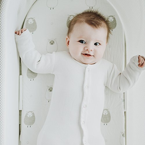 1 Cuddly+Cubs+Bassinet+Breathable+Ingenuity