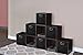 Niche Set of 6 Cubo Foldable Fabric Bins- Black