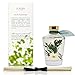 LOVSPA Sparkling Balsam Reed Diffuser Oil Set - Christmas Tree Scent with Pine, Fir Needles, Birch Wood and Amber - Natural Essential Oils and Real Botanicals - Beautiful Holiday Decor - 4.5 Ounces
