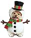 Rubie's Walking Snowman Pet Costume, Large, Multicolor