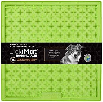 lick mat buddy