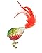 Old World Christmas Noel Songbird Glass Blown Ornament