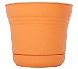 Bloem SP1020 Saturn Planter, 10", Tequila Sunrise