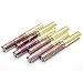 2018 Professional Lipstick Permanent Long-lasting Makeup Lip Glosses for Girls by TOPUNDER