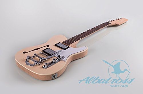 Albatross Guitars Semi-Hollow Body Electric DIY Guitar Kit Bolt On Neck G007