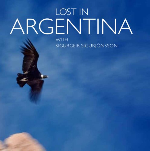 Lost in Argentina by Sigurgeir Sigurjonsson, Maria Kodama