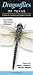 Dragonflies of Texas: A Guide to Common & Notable Species