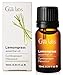 Gya Labs Lemongrass Essential Oil for Diffuser - 0.34 Fl Oz - 100% Pure Natural Lemongrass Oil for Hair, Skin, Herbaceous, Candle Making - Earthy & Zesty Scent