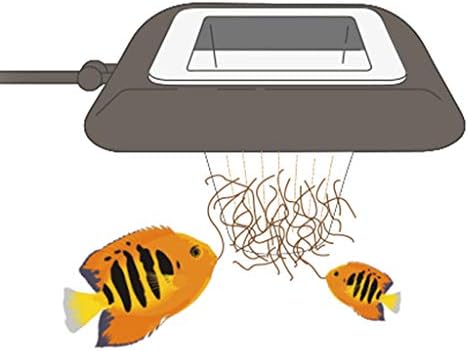 ❤Aquarium Fish Tank Floating Food Feeder Worm Fish Feeding Tools Ring Cup Set Supplies