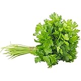 PREMIER SEEDS DIRECT - ORGANIC HERB PARSLEY PLAIN LEAVED (FRENCH) 2500 SEEDSSoil AssociationSoil AssociationSoil Association