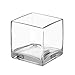Royal Imports Flower Glass Vase Decorative Centerpiece for Home or Wedding - Clear Cube Shape, 4