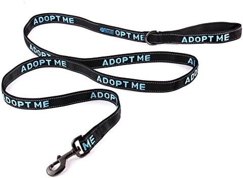 Max and Neo Adopt Me Reflective Nylon Dog Leash - We Donate a Leash to a Dog Rescue for Every Leash Sold (BLACK/BLUE, 6 FT x 1")