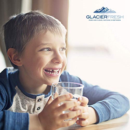 GLACIER FRESH DA29-00020B Refrigerator Water Filter Replacement Samsung DA29-00020B HAF-CIN/EXP For French Door Fridge Kitchen By Samsung (3 PACK)