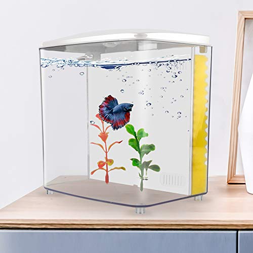 square fish tank