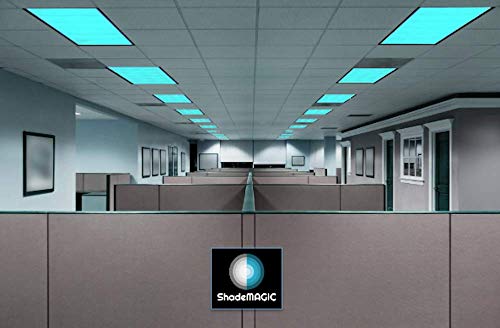 1 ShadeMAGIC+Fluorescent+Covers+Classroom+Office