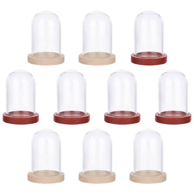 NBEADS 10 Sets Mini Eternal Flower Glass Dome Cloche, Clear Glass Display Case with 2 Colors Wooden Base Bell Jar Cloche for Centerpieces Plants Rocks Specimens Decorations Crafts, 3.9x2.5 cm