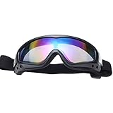 Edal Outdoor Coated Safety Skiing Riding Goggles Sport Dustproof Sunglass Eye Glasses