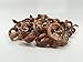 Top Dog Chews Bully Stick Springs for Dogs - Natural Bulk Dog Dental Treats. - 25 Pack, Free Range & Grass Fed Beef