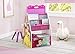 Delta Children Activity Center with Easel Desk, Stool and Toy Organizer, Disney Princess