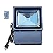 100W RGB Flood Light - TDLTEK 100W RGB Color Changing LED Flood Light/Spotlight/Landscape Lamp/Outdoor Security Light with[ Memory Function] and [Remote Controller]