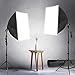 LimoStudio 700W Photo Video Studio Soft Box Lighting Kit, 24 x 24 Inch Dimension Softbox Light Reflector with Photo Bulb, Photography Studio, AGG814