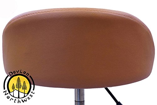 DevLon NorthWest Salon Stool with Back Rest Saddle Hydraulic Spa Stool (LIGHT BROWN)