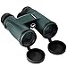Wingspan Optics NaturePro HD 8X42 Professional Binoculars for Bird Watching. Experience Vivid Color, Clarity and Brightness Up Close or Far Away. Wide Field of View. Close Focus. Waterproof, Fog Proof