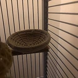 Orgrimmar Handmade Cotton Rope Bird Nest Breeding